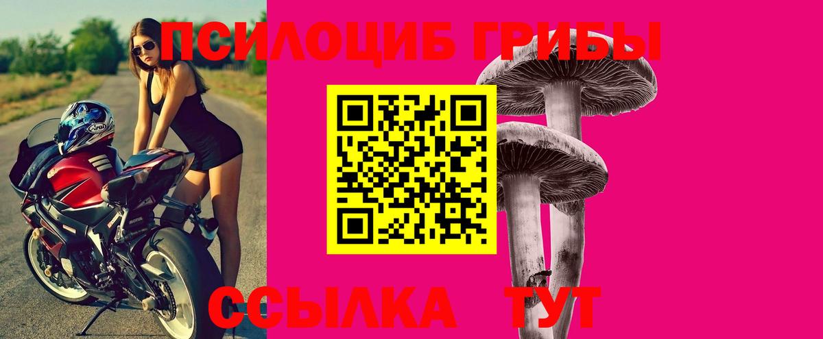Боровичи  Псилоцибиновые грибы Psilocybe  Вход с VPN  Галлюциногенные грибы MAGIC MUSHROOMS 